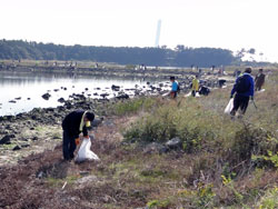 南港野鳥園清掃活動
