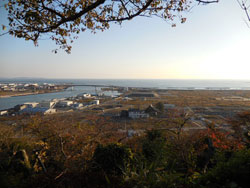 日和山公園より見た津波被害を受けた河口付近