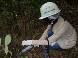 伐採作業を行う大阪市地域協からの参加者