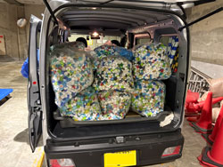 引き取りのようす