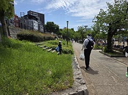 清掃活動のようす