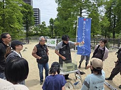 生物調査のようす