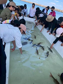 魚とのふれあい