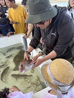 魚とのふれあい