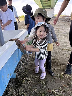タコとのふれあい